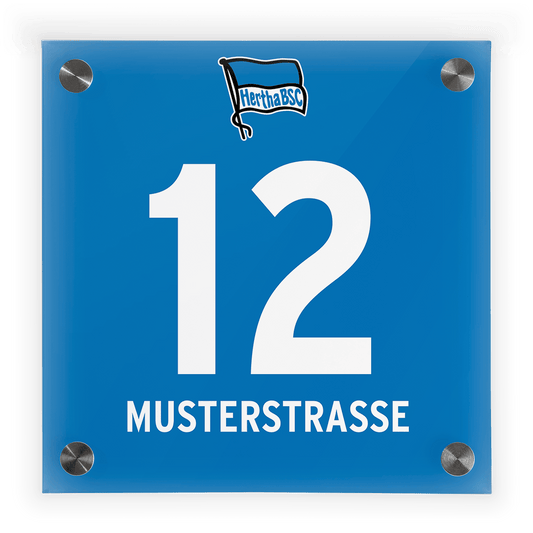 Fussball Türschild BSC Hertha BSC Berlin - Design 2