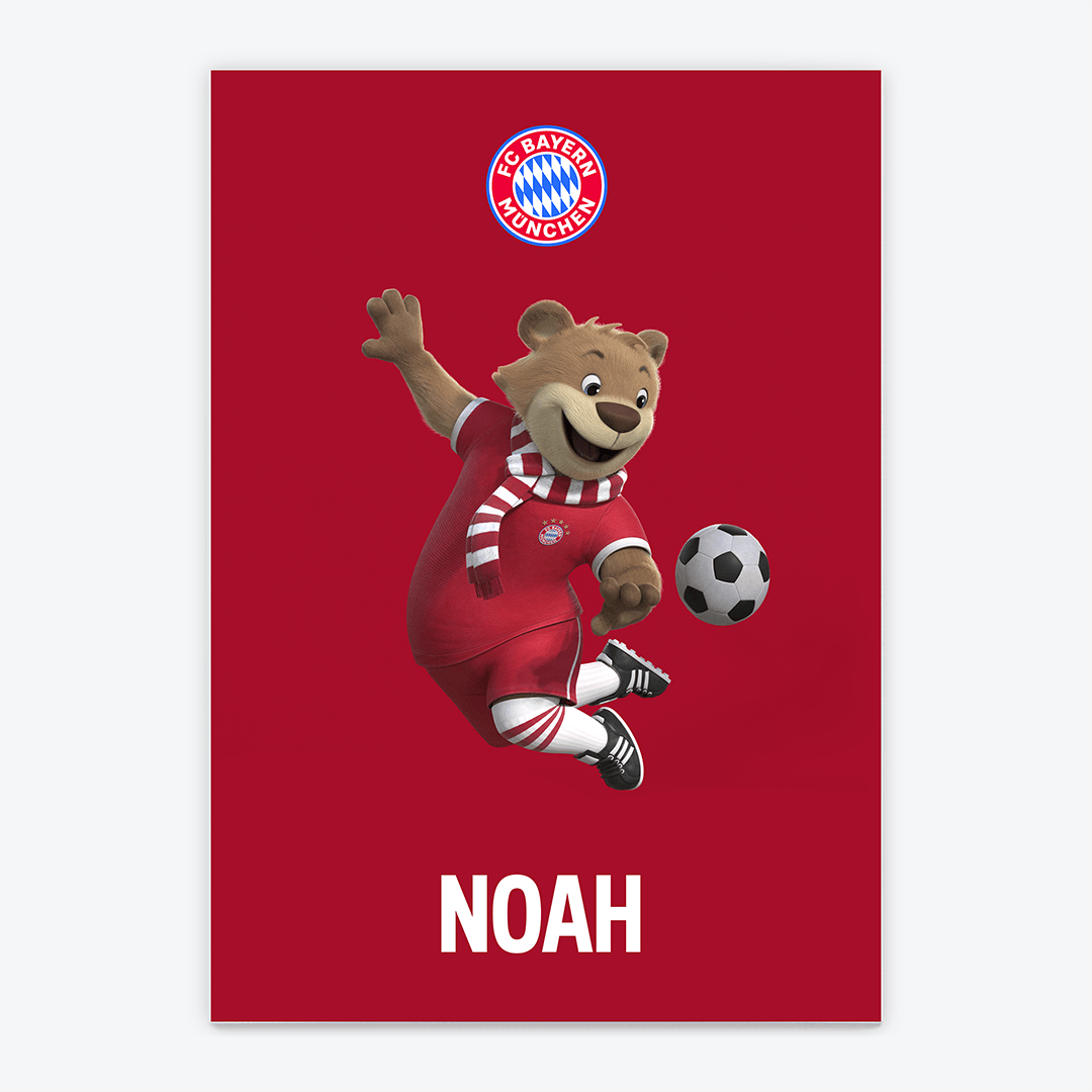 Fussball Türschild FCB FC Bayern München - Berni